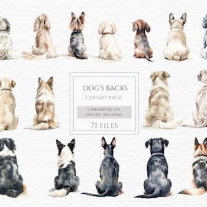 Clipart chien, de dos, chiens aquarelles, race de chien croisé, chiens de dos, chiens assis à l'arrière, border collie, petite race de chien.