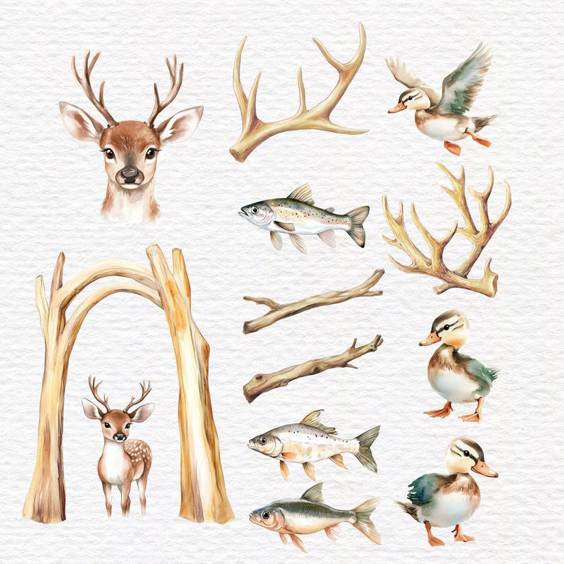 May include: A collection of watercolor illustrations featuring a deer head, a fawn standing under a wooden arch, two sets of antlers, three fish, two wooden branches, a flying duck, and two standing ducklings on a textured white background.