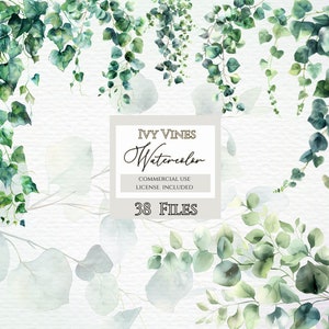 Ivy vines clipart, Greenery Clipart,Botanical Clipart, Instant Download, Ivy Vines Clipart, Ivy Digital Download, Foliage Clipart.