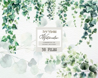 Ivy vines clipart, Greenery Clipart,Botanical Clipart, Instant Download, Ivy Vines Clipart, Ivy Digital Download, Foliage Clipart.