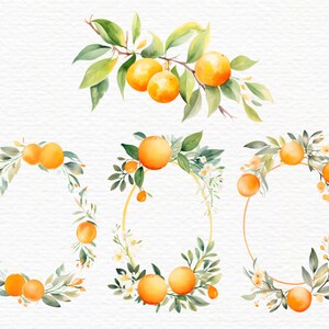 May include: Watercolor illustration of orange fruit and leaves. The image features a branch with oranges and several oval frames decorated with oranges, leaves, and small white flowers. The artwork has a watercolor style with a white background.