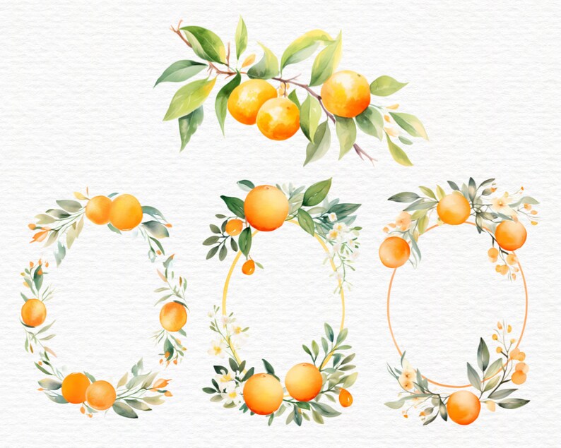 May include: Watercolor illustration of orange fruit and leaves. The image features a branch with oranges and several oval frames decorated with oranges, leaves, and small white flowers. The artwork has a watercolor style with a white background.