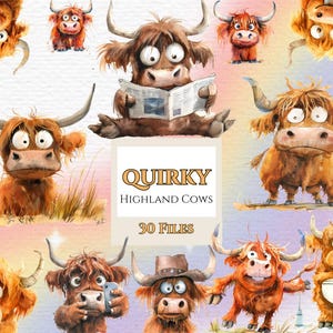 Funny cow png bundle, Quirky highland cows clipart.