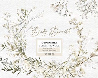 Gypsophila clipart, Digital Download,Watercolor Clipart,Watercolor Flower,Floral Clipart,Commercial Use. Learn more in description below.