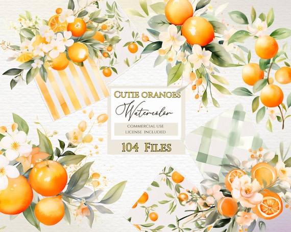 Cutie orange clipart, Commercial Use, Transparent PNG, Baby Clip Art, Baby Shower Bundle, orange clipart, orange blossom, watercolor citrus.