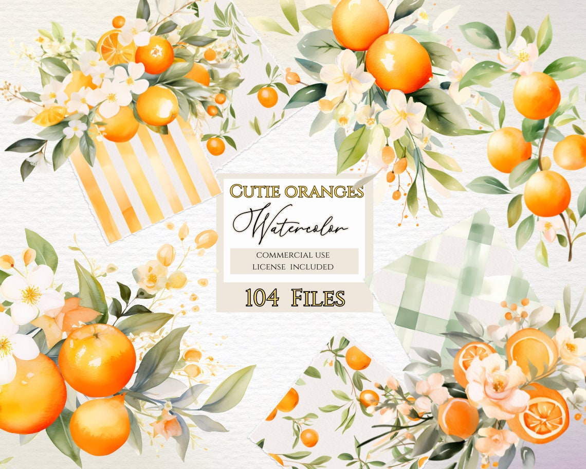 Cutie orange clipart, Commercial Use, Transparent PNG, Baby Clip Art, Baby Shower Bundle, orange clipart, orange blossom, watercolor citrus.