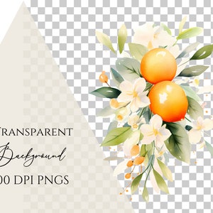 May include: Watercolor illustration of a floral arrangement featuring two bright orange fruits, white blossoms, and green leaves. The text "TRANSPARENT Background 300 DPI PNGS" is displayed in the image.