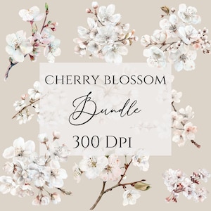 Sakura Clipart, fiori di ciliegio, uso commerciale incluso, pacchetto di clipart floreali, png primaverili dell'acquerello.