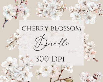 Sakura Clipart, cherry Blossoms, Commercial Use included, floral clipart bundle, watercolor spring pngs.
