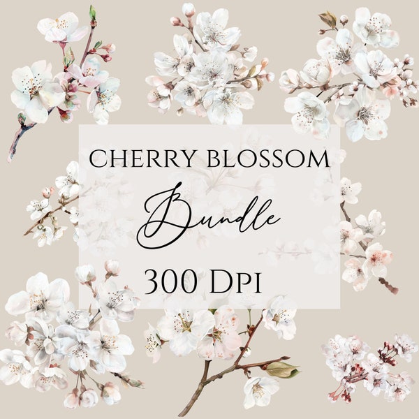 Sakura Clipart, cherry Blossoms, Commercial Use included, floral clipart bundle, watercolor spring pngs.