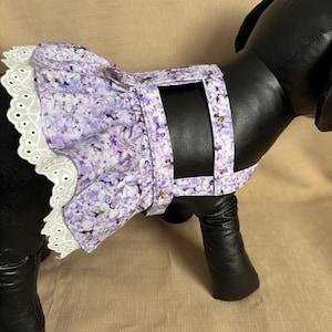 Pode incluir: Um arnês para cães floral roxo com uma borda de renda branca e um anel prateado. O arnês é projetado para cães pequenos.