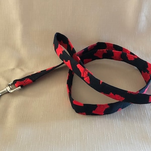 Red Fire hydrants - Dog Leash