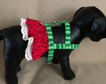 Könnte beinhalten: Ein schwarzer Hund, der ein grünes und rotes Wassermelonen-Muster-Geschirr mit einer weißen Spitzenverzierung trägt.