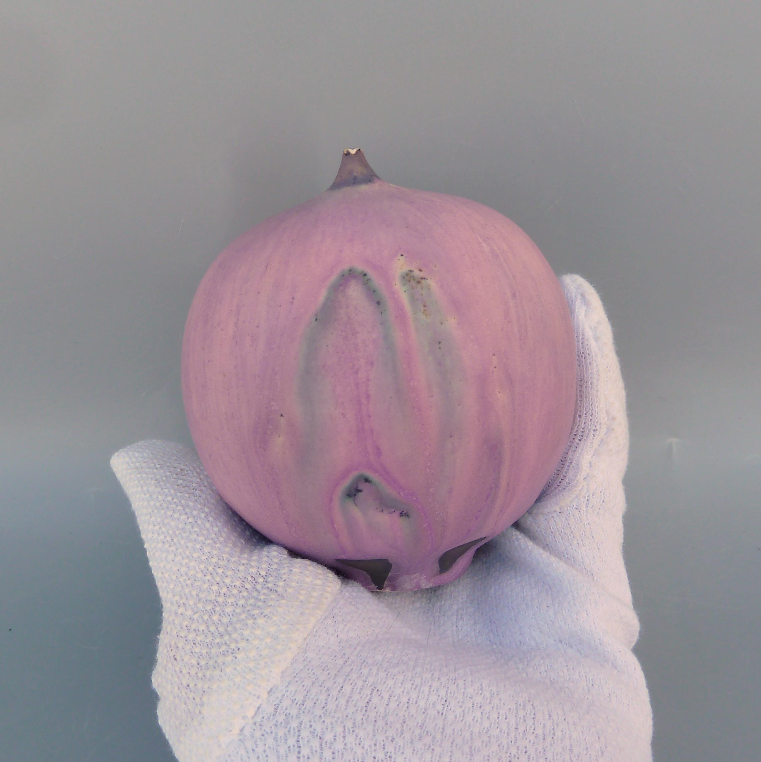 Rose Cabat Feelie Vase Pink & Lavender, Modernist Pottery