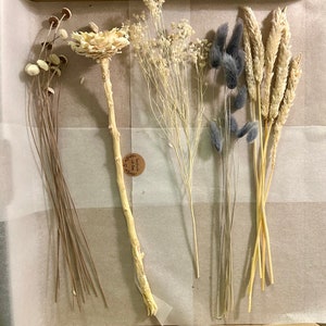Fiori secchi | Progetto fai da te | Decorazione | mazzolino | Mazzo di fiori secchi | Regalo | Scatola fai da te | Fatto in casa | scatole piccole e grandi | Carte