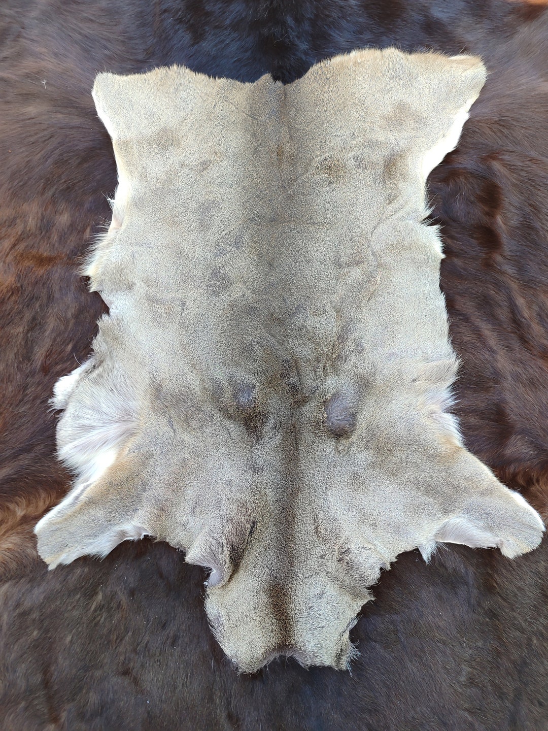 Roebuck Deer Skin Roe Deer Skin Hide Fur Soft Area Rug Carpet Fluffy ...