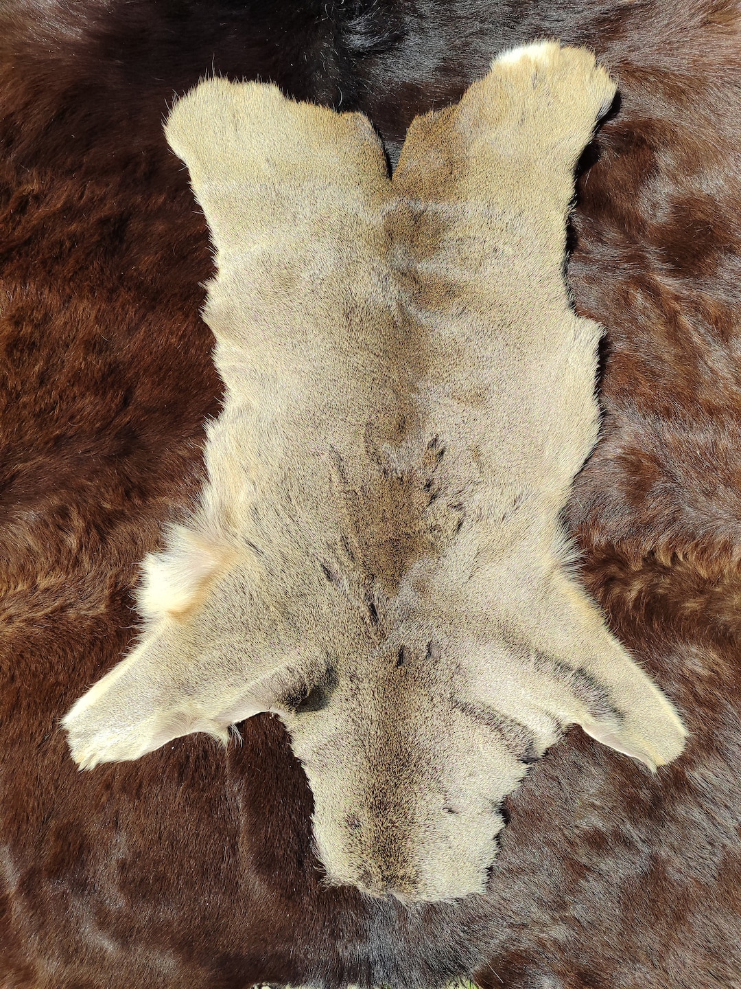 Roebuck Deer Skin Roe Deer Skin Hide Fur Soft Area Rug Carpet Fluffy ...