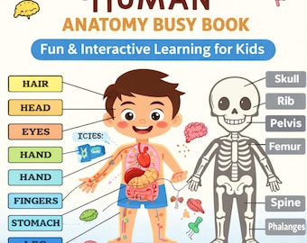Libro de anatomía humana para niños / Hojas de trabajo imprimibles sobre las partes del cuerpo / Actividades científicas para preescolares / Montessori para educación en casa (PDF)