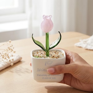 May include: A glass tulip flower in a white ceramic pot. The pink tulip has green leaves and stem. The pot has the text "Willie", "University of California", and "CLASS OF 2026". The pot is filled with small stones.