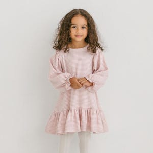 May include: A light pink gingham dress with long, puffy sleeves and a ruffled hem. The dress is worn by a young person with curly brown hair. The dress is a classic style, suitable for casual or semi-formal occasions.