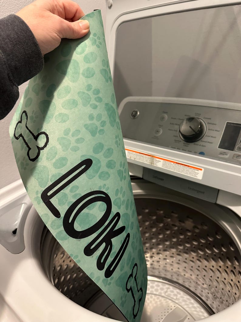 May include: A green dog bed with paw prints and a bone design. The bed has the name "Loki" printed on it. The bed is being placed in a washing machine.