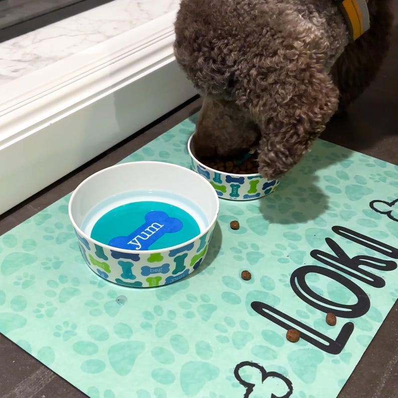 May include: A light blue dog bowl with a bone-shaped design and the word "yum" printed on it. The bowl is on a green mat with paw prints and the name "Loki" written in black.