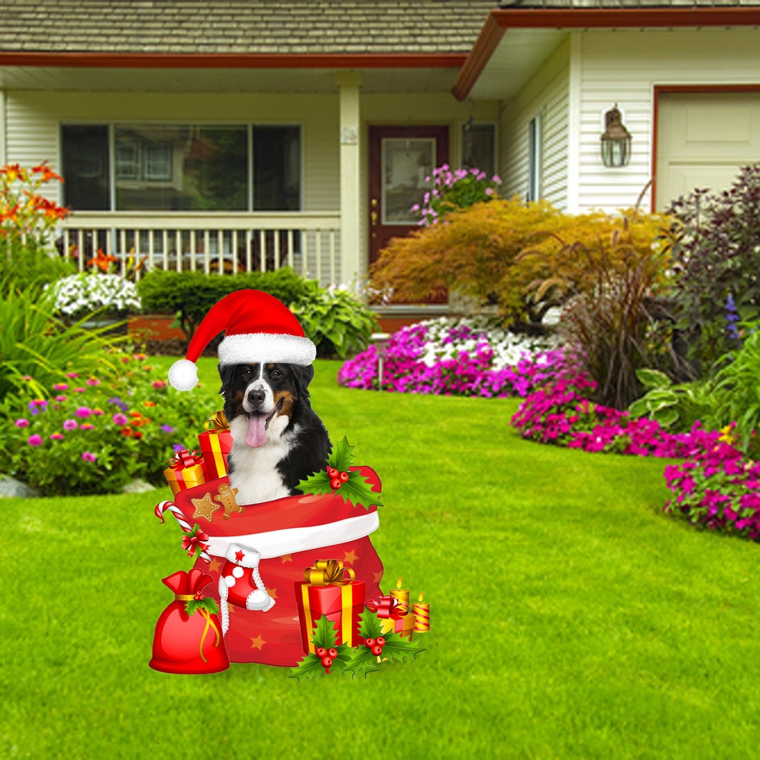 Bernese Mountain Dog Christmas Yard Sign Dog Christmas Garden Etsy