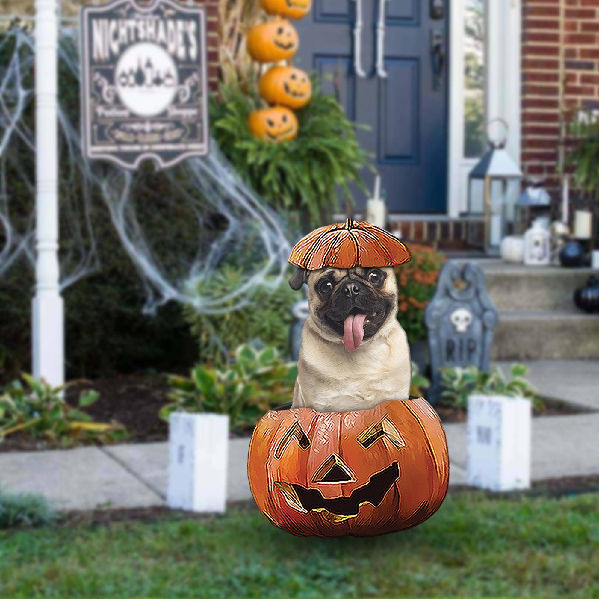 pug halloween