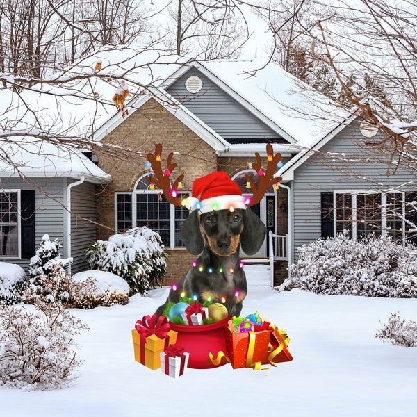Dachshund Outdoor Christmas Etsy