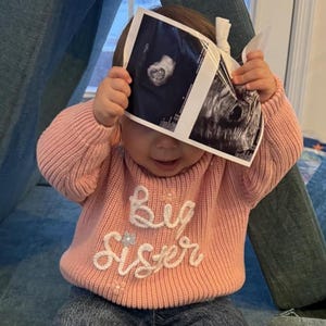 Embroidered Big Sister Sweater,Little Brother Jumper,Personalized Toddler Sweater,1st Birthday Gift,New Sister Gift,Matching Sibling Sweater