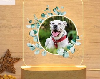 Lumière de nuit personnalisée pour animaux de compagnie, mémorial personnalisé pour chiens, plaque personnalisée pour animaux de compagnie, cadeaux pour animaux de compagnie, cadeau de perte de chien de chat, cadeau de sympathie pour la perte de chat de chien