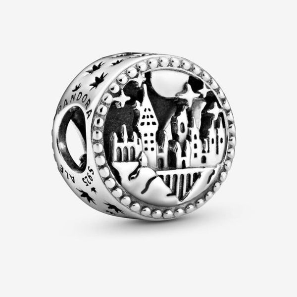 Harry Potter Series Hogwarts School of Witchcraft Charm