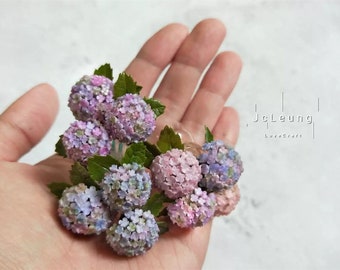 Miniature Flowers Mini Hydrangeas