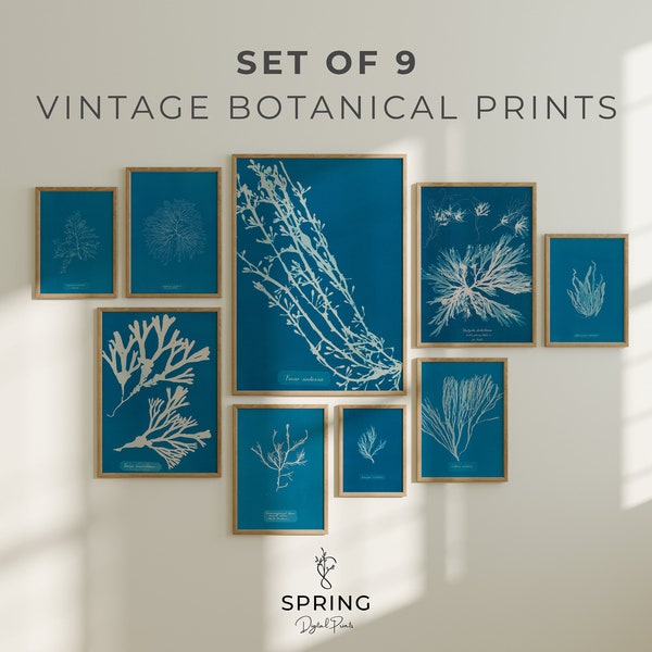 Vintage Blue Botanical Prints Set of 9 | Botanical Prints | Botanical Wall Art | Botanical Prints | Vintage Flora Prints | Blue Wall Art