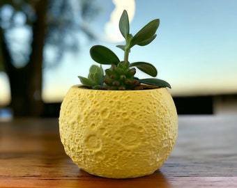 Moon Planter - Vaso a forma di Luna per fiori e piante da interno con Raccogli Acqua Stampato in 3D - Regalo per amanti di piante