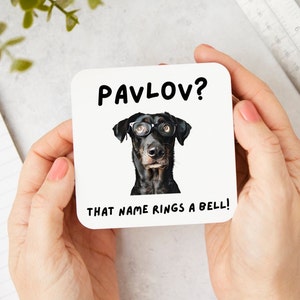 Montaña rusa de psicología divertida / Montaña rusa de tablero duro de los perros de Pavlov, regalo de psicología, regalo de ciencia, regalo de profesor de ciencias para psicólogos, regalo de juego de palabras