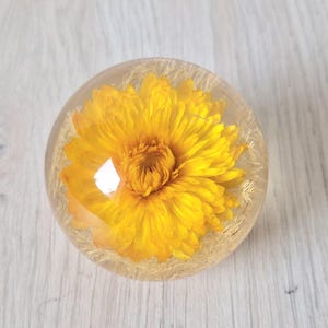 Vintage Haford Grange Yellow Helicrysium Small Lucite Sphere Paperweight 1996