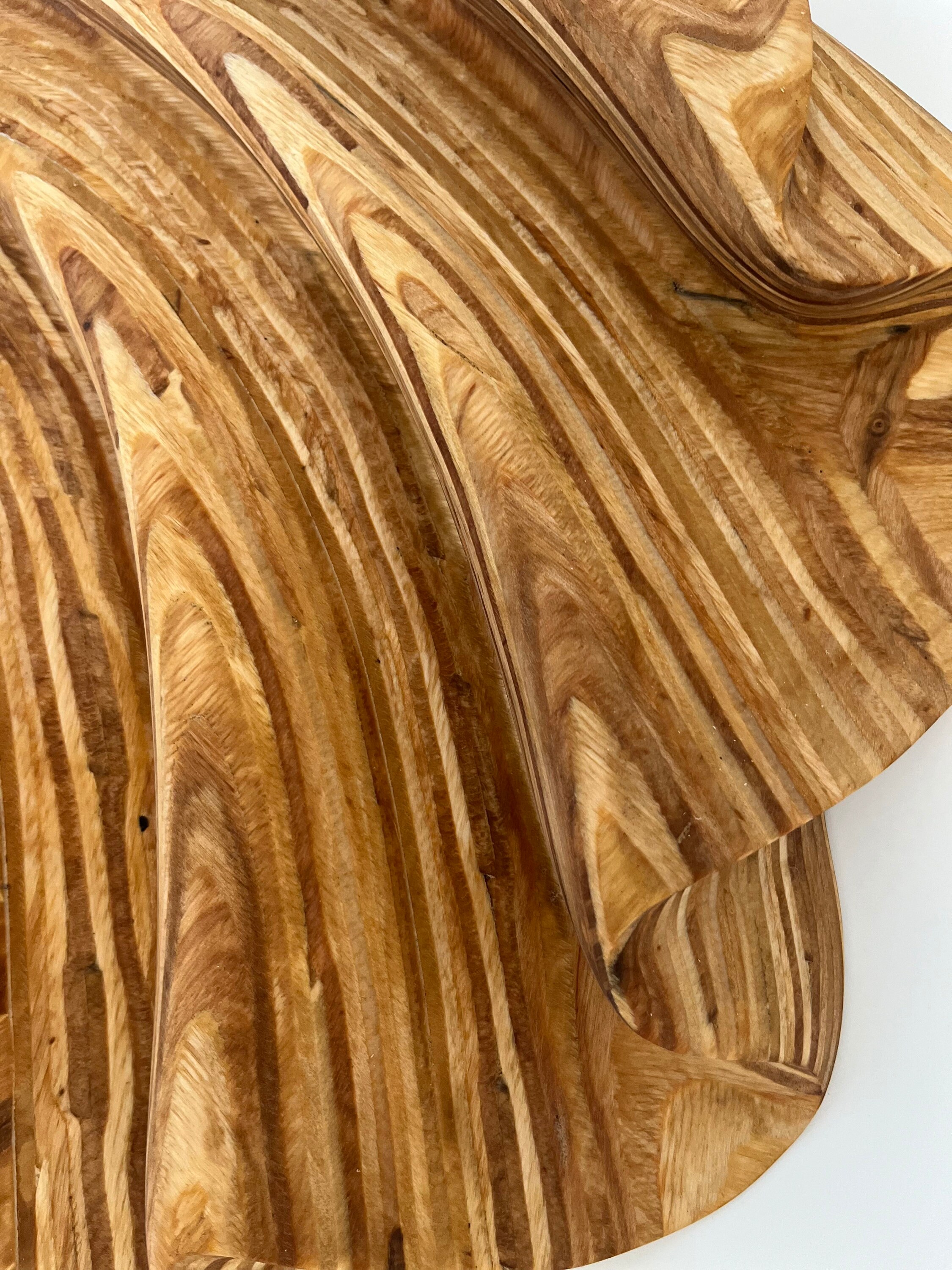 Sea Shell Wood Pattern Handcrafted Wooden Seashell Wall Art: Coastal Home Decor (18.90 X 17.91 ...