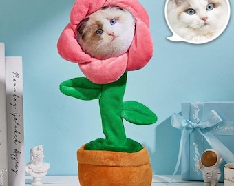 Aangepaste roze foto dansende plant aangepast gezicht dansen bloem zingende zonnebloem grappige cadeaus spraakopname cadeau aangepaste knuffel verjaardagscadeau