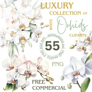 Aquarela branca casamento orquídea floral clipart PNG coroa de orquídeas bordas molduras buquês de orquídeas clipart flores digitais design de camiseta PNG
