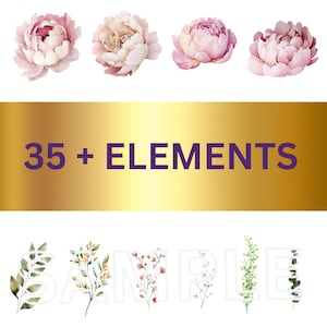 Dusty & Blush Pfingstrosen Aquarell Clipart blush Blumen Gestecke Hochzeit Karte Dekor Pfingstrosen Blumensträuße Clip Art Sammlung Pastell Pfingstrosen