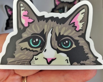 2 MEOW DECAL Cat Kitty Stickers Vinyl Car Truck bumper Laptop Window 