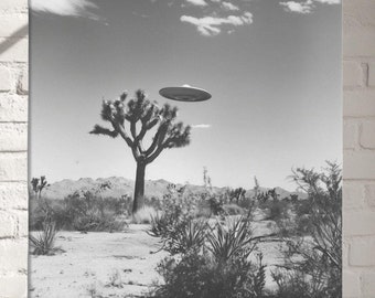 UFO Over Joshua Tree Photo Print, Mid-century Modern Black and
