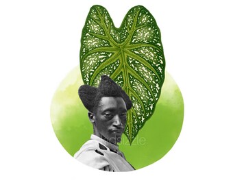 the garden's exhale, a rendezvous at dusk- free shipping