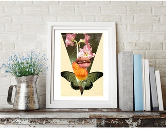 an intrigue in petals - FREE SHIPPING