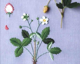 kazuhiro aokiページ Blackbeard Pirates 008 Kuzan Aokiji - One Piece - A Plus Studio