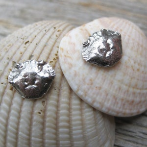 CANCER zodiac crab carapace studs oxidized sterling silver earrings