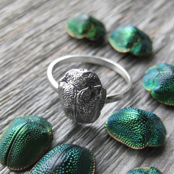 SCARAB ring real insect jewelry bug ring oxidized sterling silver made to order