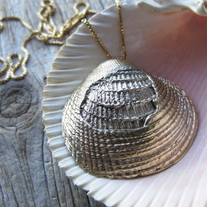 Tidekeeper Shell Pendant main image 1