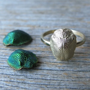 14kt yellow gold SCARAB ring real insect jewelry bug ring made to order